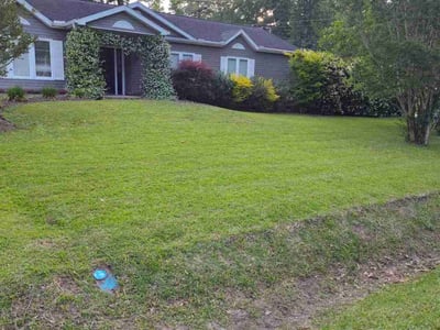 Lawn care service in Charleston, 29414