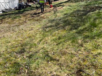 Lawn care service in Baltimore, 21206