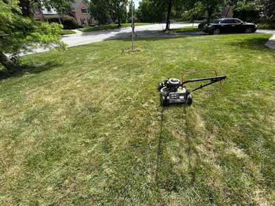 Lawn care service in Cincinnati, 45246