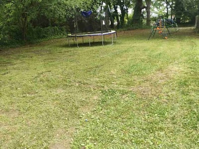 Lawn care service in Raleigh, 27601