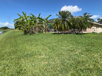 Lawn care service in Tampa, 33626