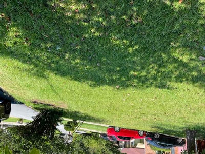 Lawn care service in Atlanta, 30349