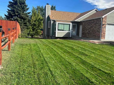 Lawn care service in Lakewood, 80226