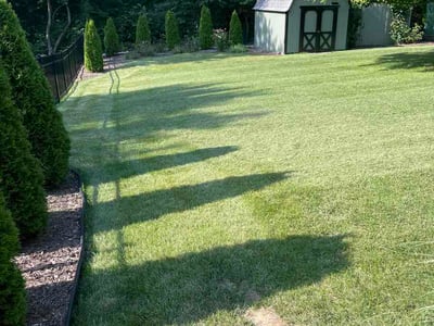 Lawn care service in Hamilton, 45011