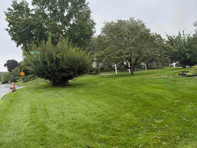 Lawn care service in Harrisburg, 17111