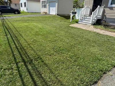 Lawn care service in Wilmington, 19804