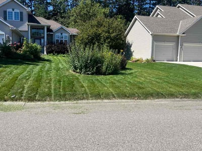 Lawn care service in Woodbury, 55125