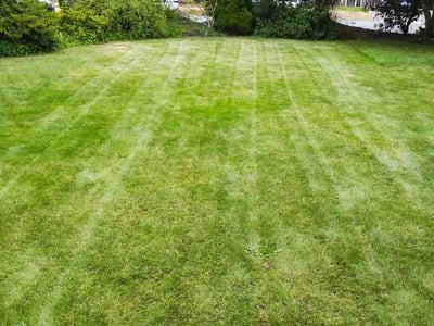 Lawn care service in Woodinville, 98072