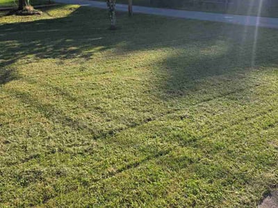 Lawn care service in Charleston, 25313