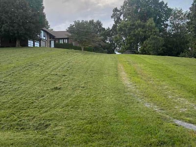 Lawn care service in Glade Spring, 24340