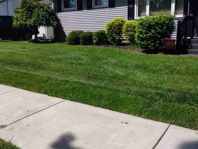 Lawn care service in Youngstown, 44509
