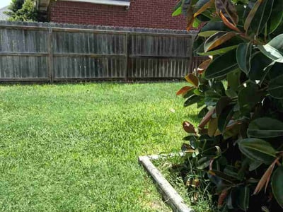 Lawn care service in McAllen, 78504