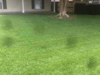Lawn care service in Baton Rouge, 70817