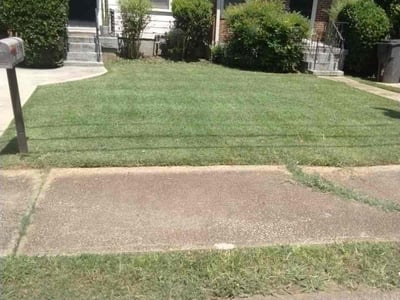 Lawn care service in Atlanta, 30344
