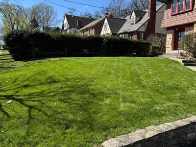 Lawn care service in Cincinnati, 45229