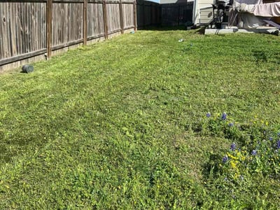Lawn care service in Manor, 78653