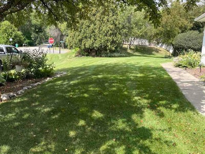 Lawn care service in Minneapolis, 55447