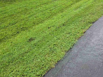 Lawn care service in Charlottesville, 22911