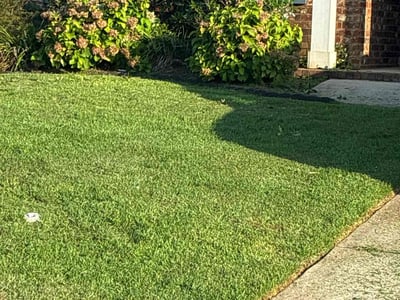 Lawn care service in Daphne, 36526