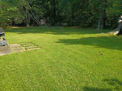 Lawn care service in Columbus, 31904