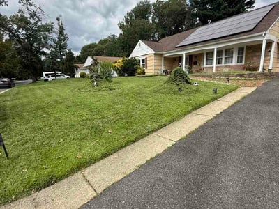 Lawn care service in Willingboro, 08046