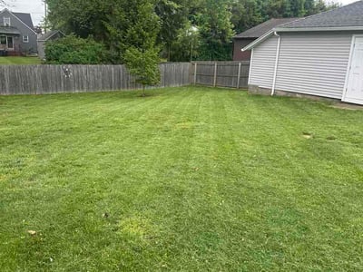 Lawn care service in Plainville, 06062