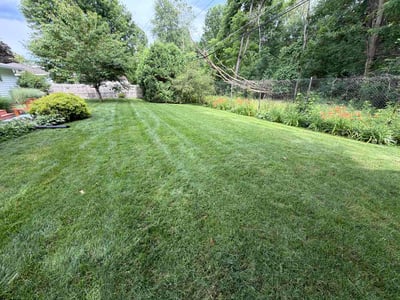 Lawn care service in Westerville, 43081