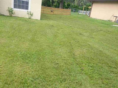 Lawn care service in Orange City, 32763