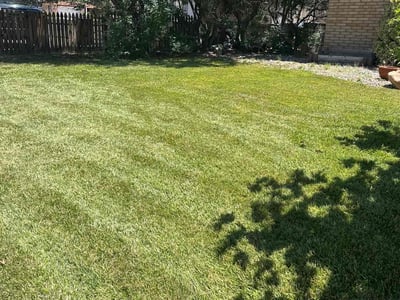 Lawn care service in Albuquerque, 87111