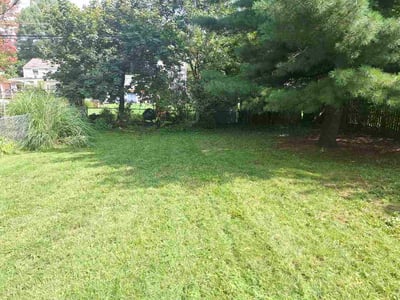 Lawn care service in Worthington, 43085
