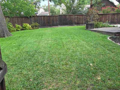 Lawn care service in Dallas, 75238