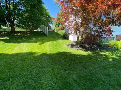 Lawn care service in Syracuse, 13207