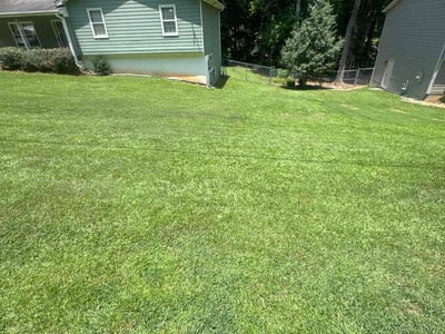 Lawn care service in Buford, 30519