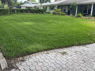 Lawn care service in Orlando, 32806
