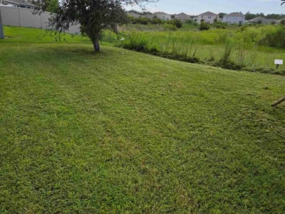 Lawn care service in Davenport, 33837