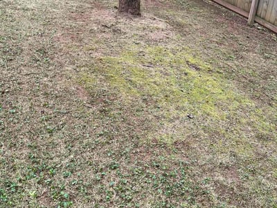Lawn care service in Smyrna, 30082