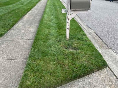 Lawn care service in Dayton, 45458