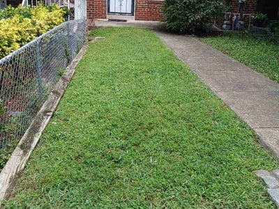 Lawn care service in Washington, 20002