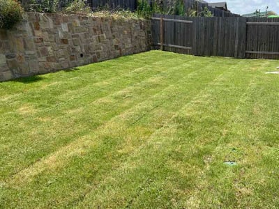 Lawn care service in Buda, 78610