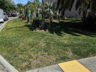 Lawn care service in Jacksonville, 32225