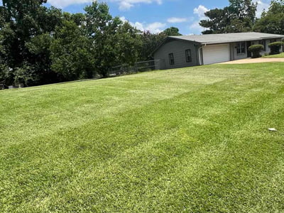 Lawn care service in Jackson, 39213