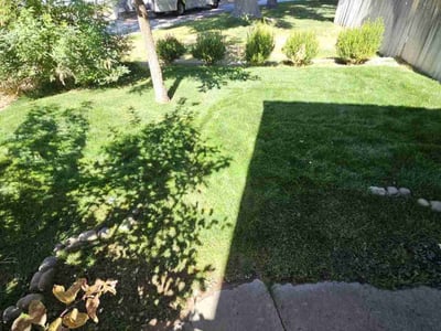 Lawn care service in Boise, 83704