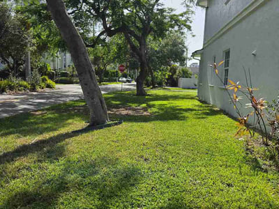 Lawn care service in Fort Lauderdale, 33301