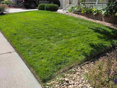 Lawn care service in Castle Pines, 80108