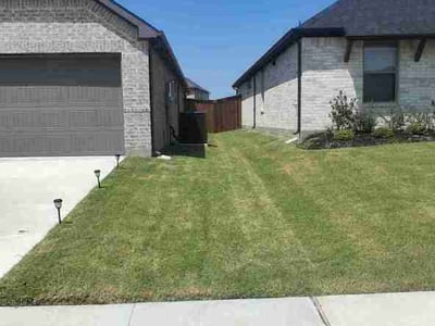 Lawn care service in Forney, 75126