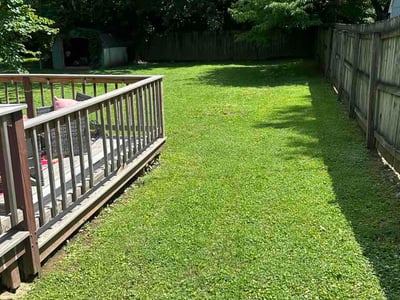 Lawn care service in Louisville, 40222