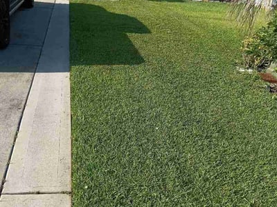 Lawn care service in Myrtle Beach, 29577