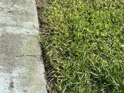 Lawn care service in Sarasota, 34231