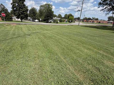 Lawn care service in Smyrna, 37167