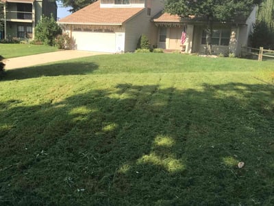 Lawn care service in Virginia Beach, 23464